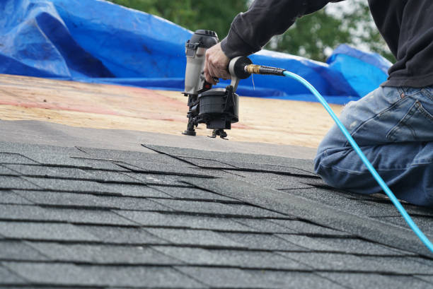 Best Roof Gutter Cleaning  in Brookside Village, TX